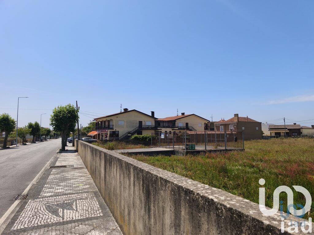 Plot / Land in Murtosa, Aveiro