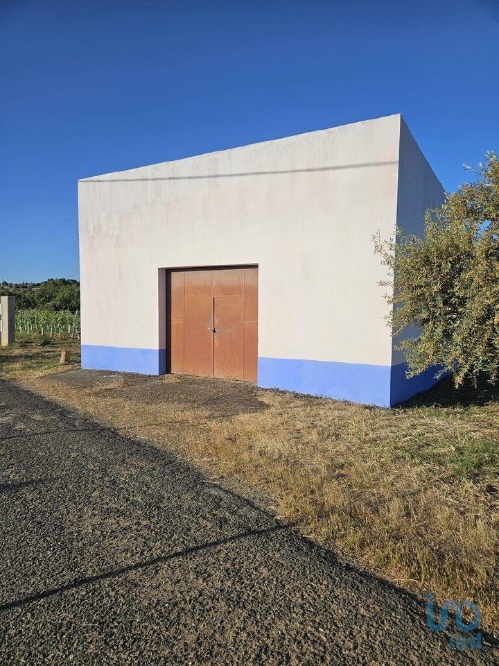 Commercial / Business in Vidigueira, Beja