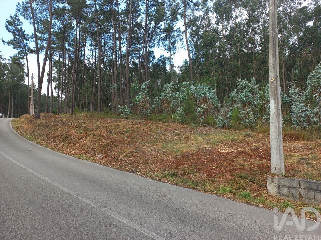 Plot / Land in Leiria