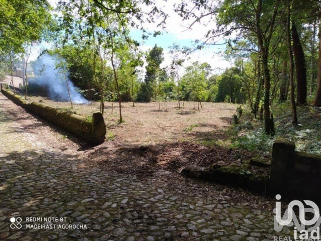 Plot / Land in União das freguesias de Caminha (Matriz) e Vilarelho, Caminha, Viana do Castelo