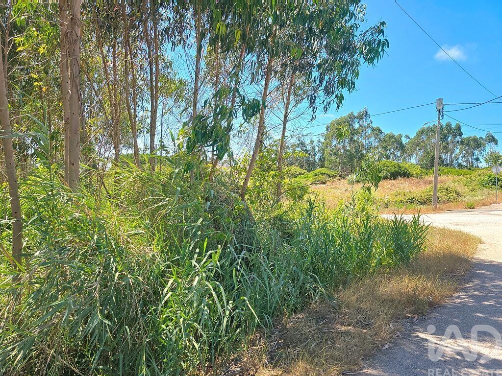 Plot / Land in Lourinhã, Lisboa