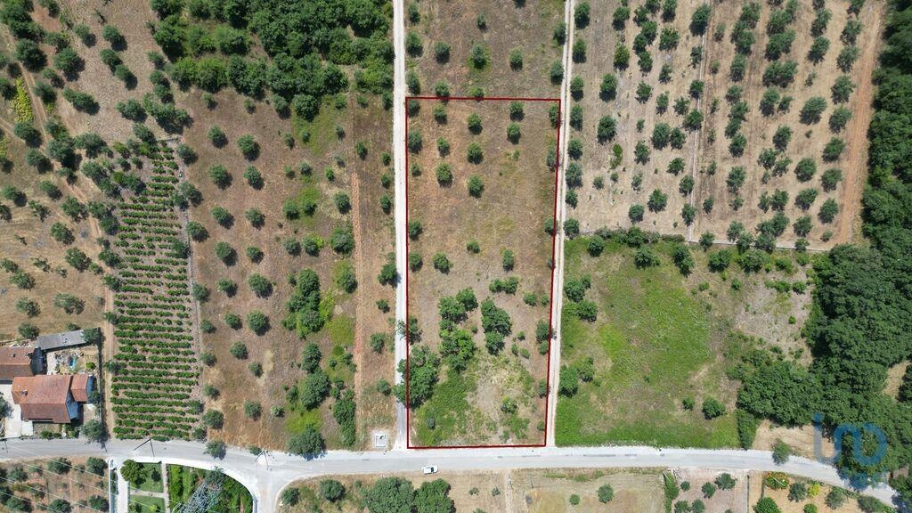 Perceel / Land in Ansião, Leiria