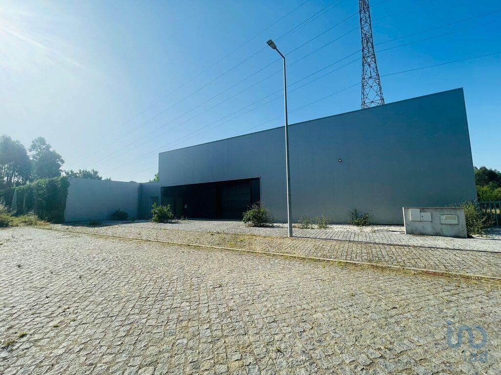 Commercial / Business in Viana do Castelo