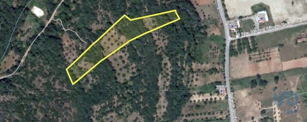 Plot / Land in Ferreira do Zêzere, Santarém
