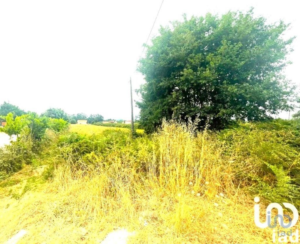 Commercieel / Zakelijk in Viana do Castelo