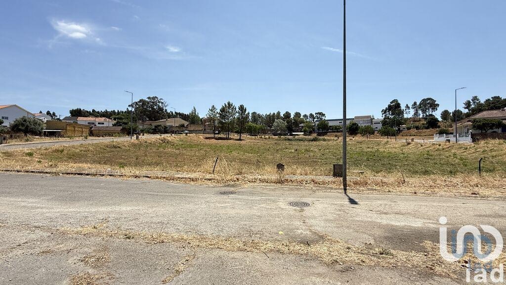 Plot / Land in Santarém