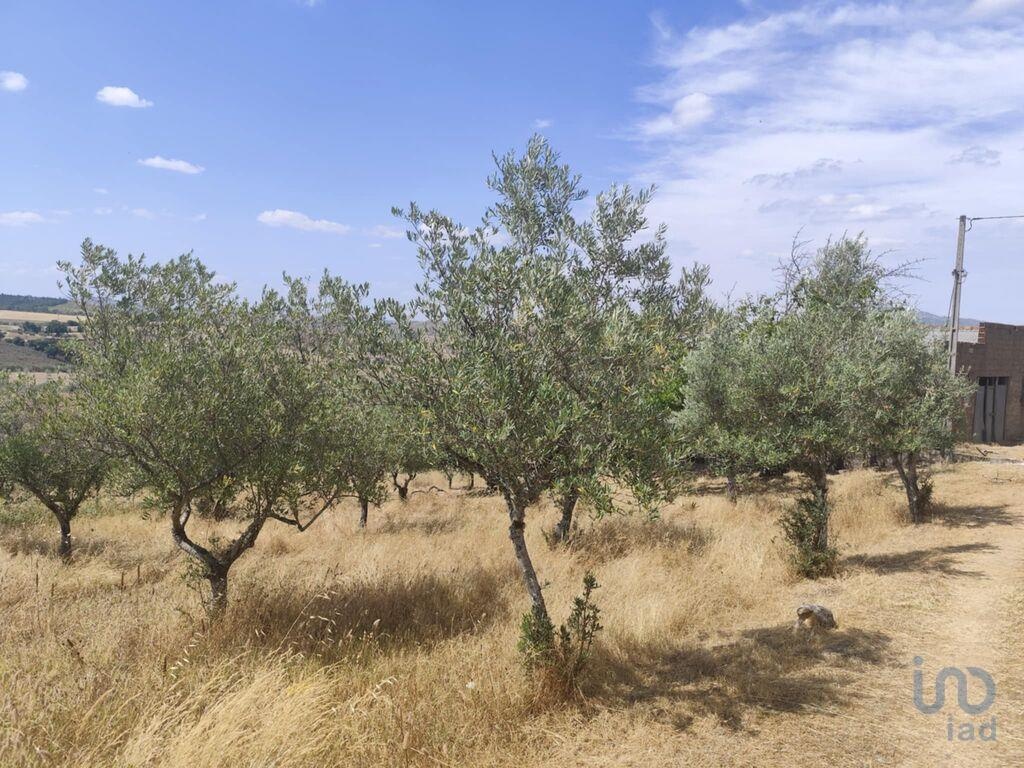 2 bed Villa in Mogadouro, Bragança