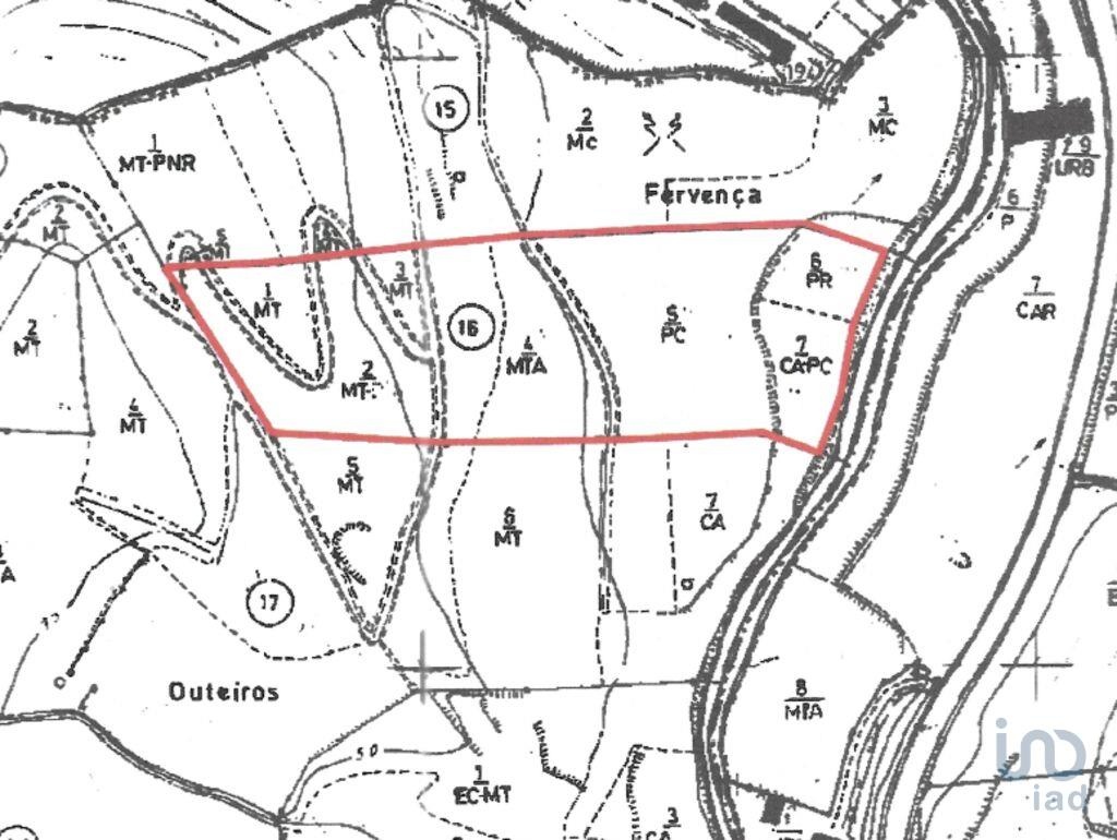 Plot / Land in Alcobaça, Leiria