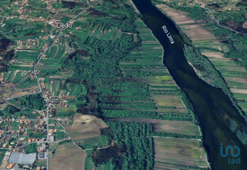 Plot / Land in Viana do Castelo