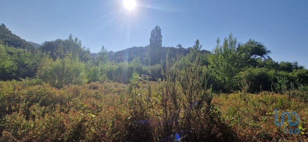 Plot / Land in Mafra, Lisboa