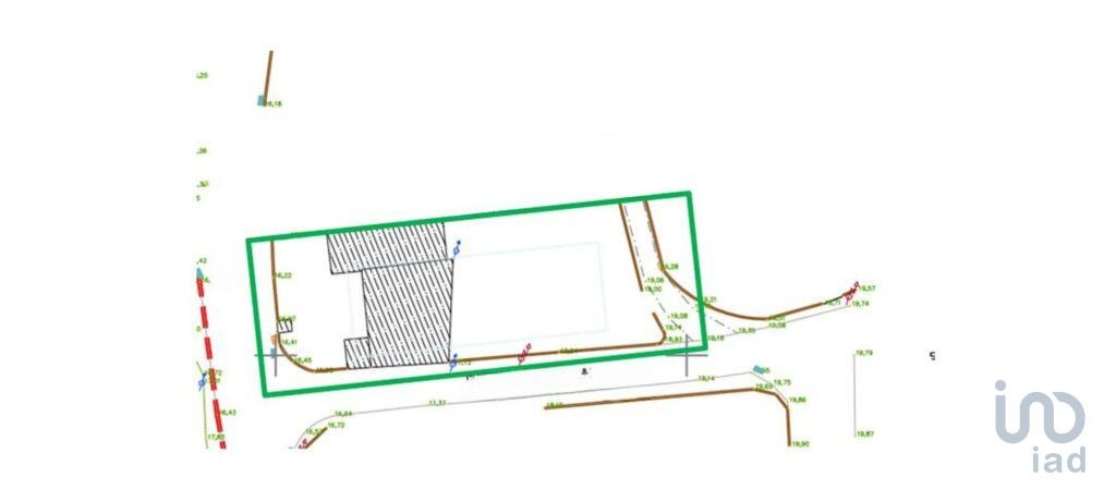 Plot / Land in Vagos, Aveiro