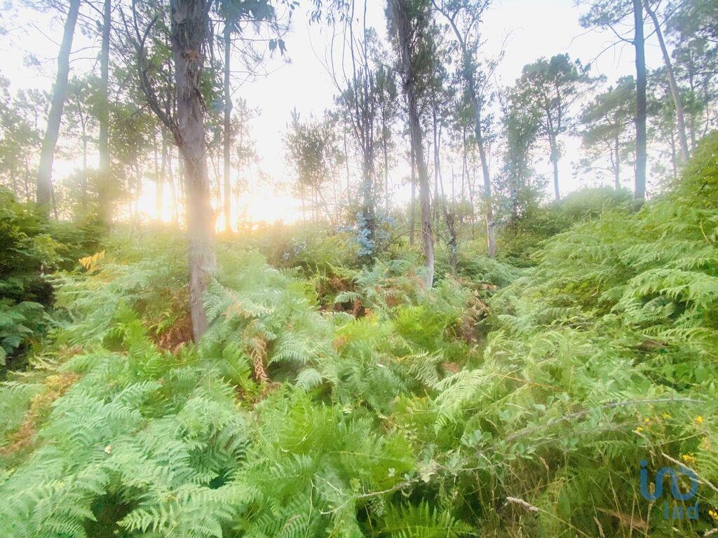 Plot / Land in Vila Nova de Cerveira, Viana do Castelo