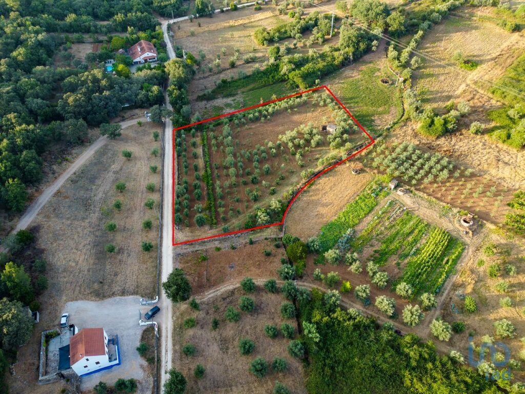 Plot / Land in Ferreira do Zêzere, Santarém