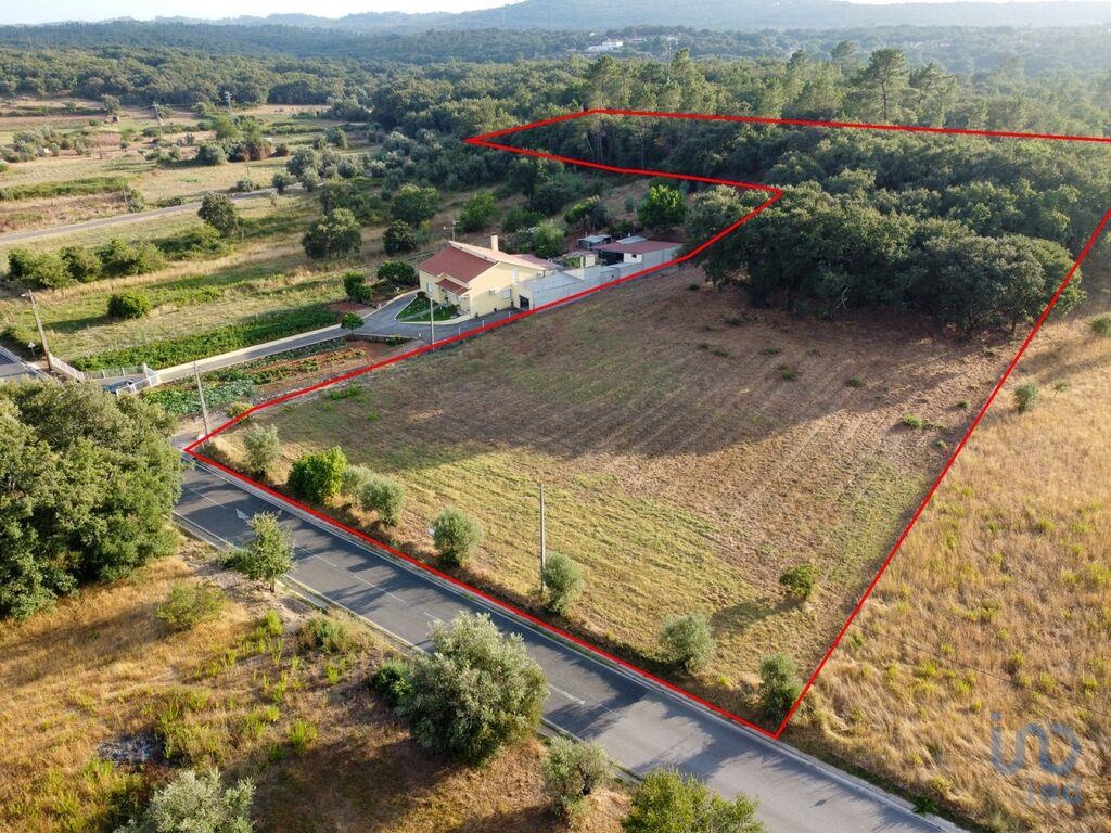 Plot / Land in Ferreira do Zêzere, Santarém