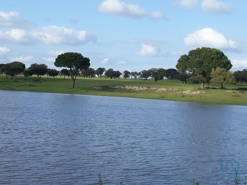 Plot / Land in Palmela, Setúbal
