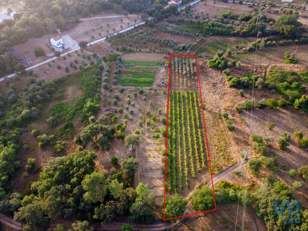 Plot / Land in Ferreira do Zêzere, Santarém