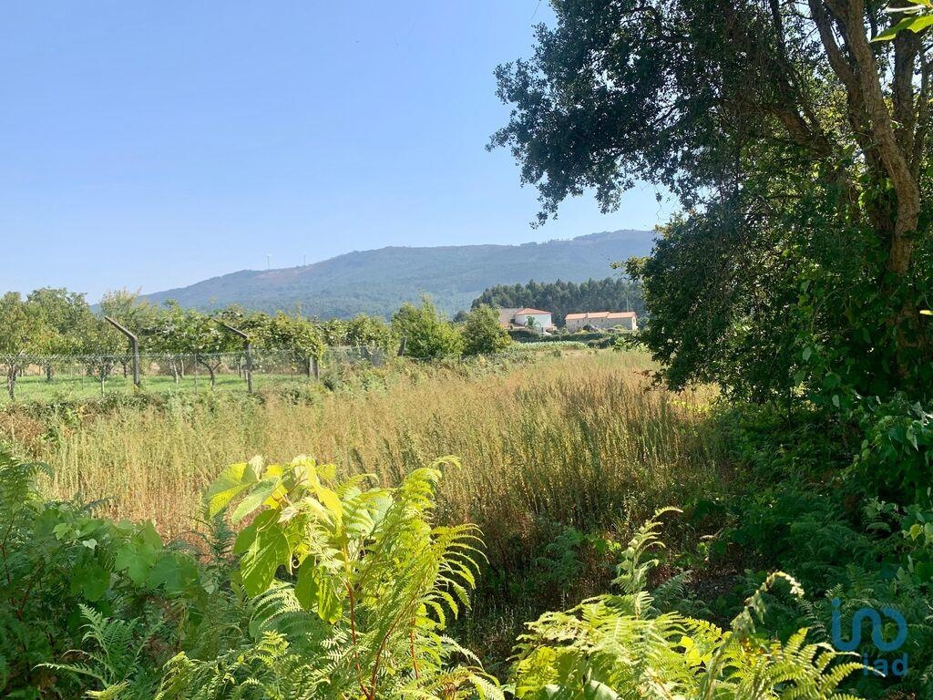 Perceel / Land in União das freguesias de Caminha (Matriz) e Vilarelho, Caminha, Viana do Castelo