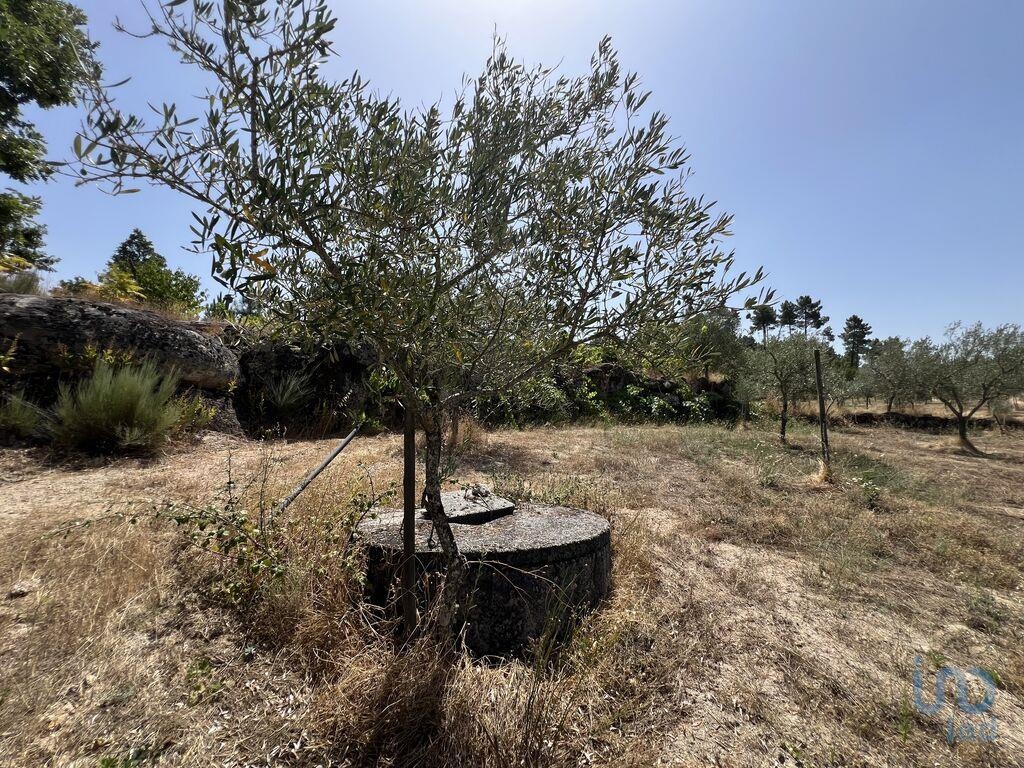 Plot / Land in Sernancelhe, Viseu