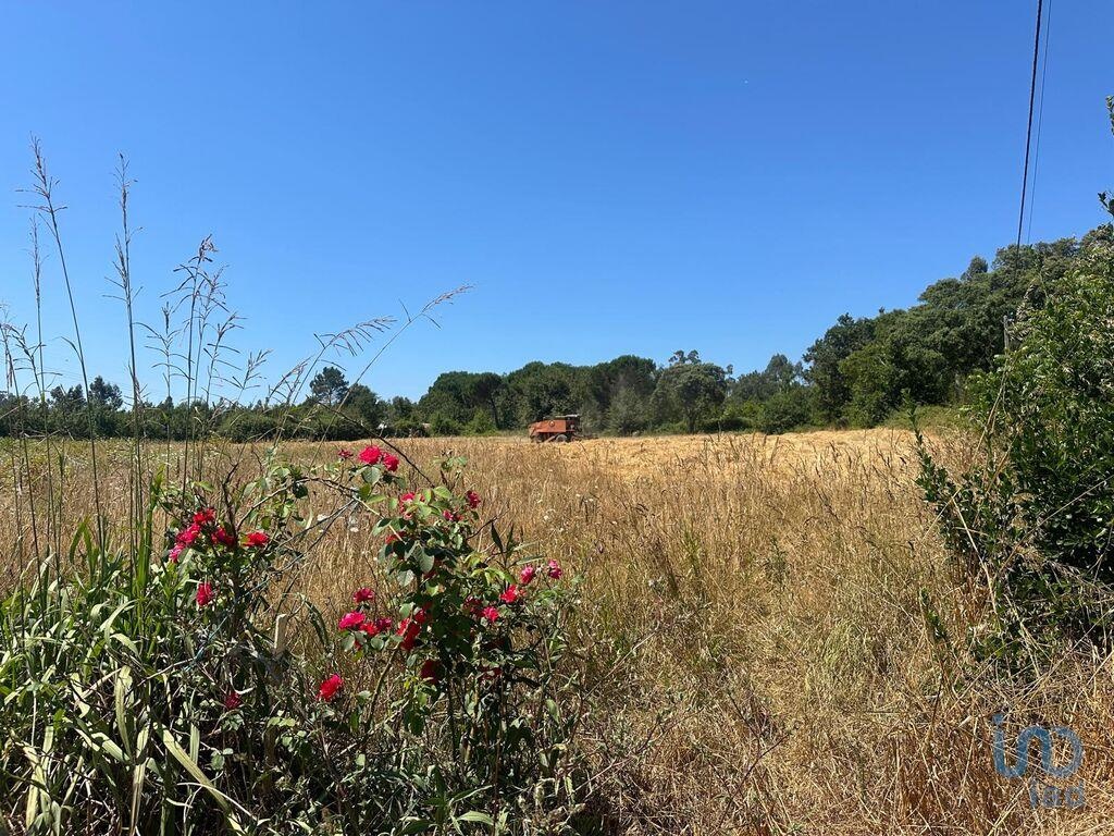 Plot / Land in Aveiro