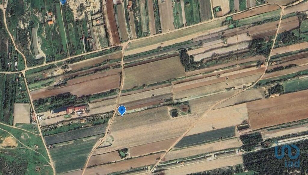 Plot / Land in Peniche, Leiria