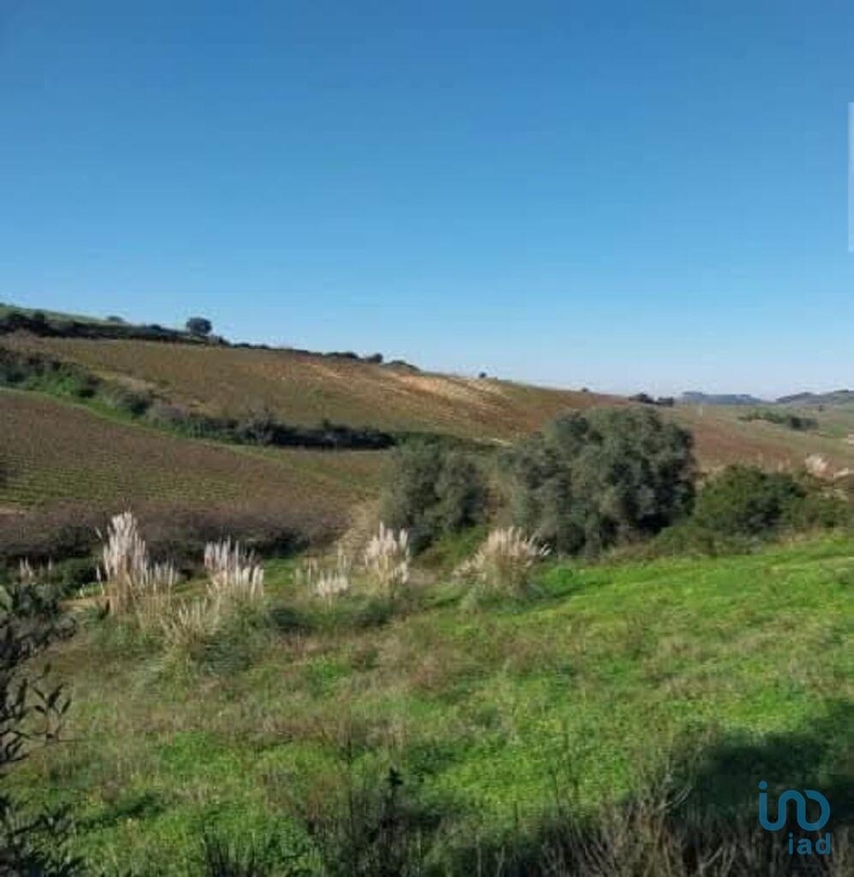 Plot / Land in Torres Vedras, Lisboa