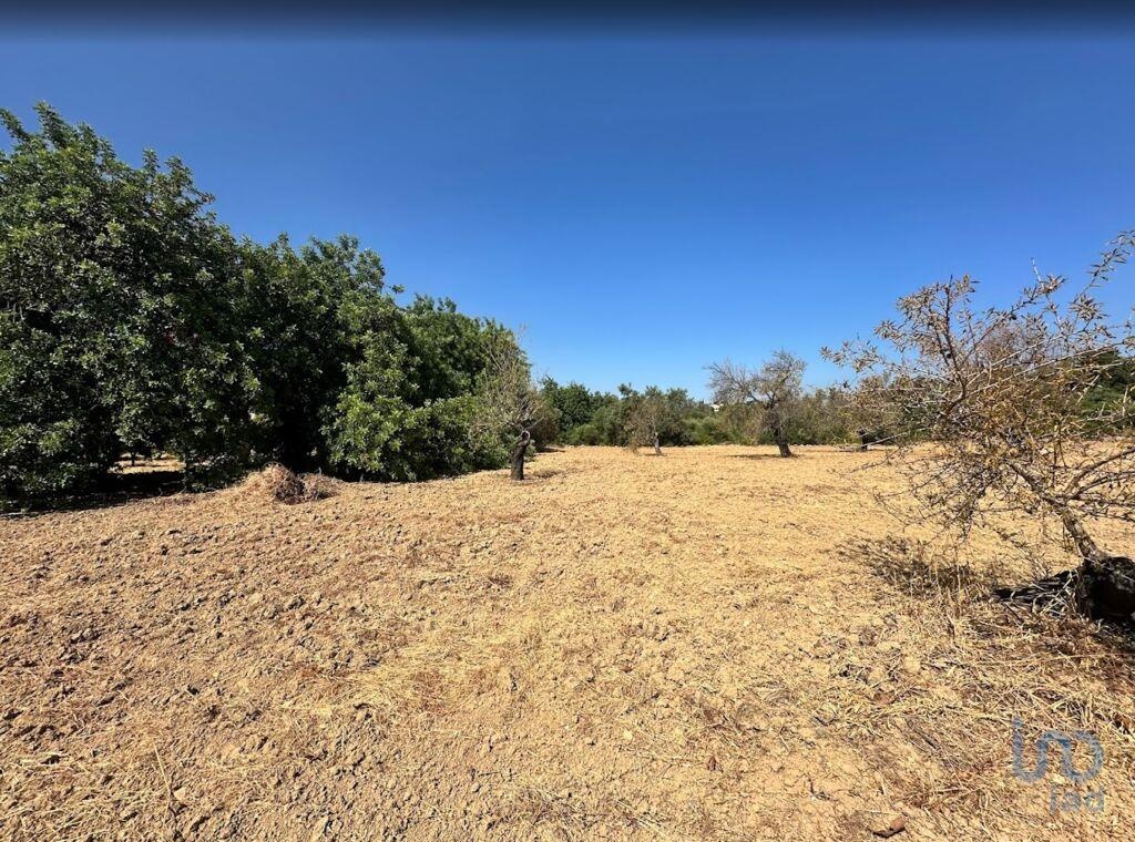 Perceel / Land in Tavira, Eastern Algarve
