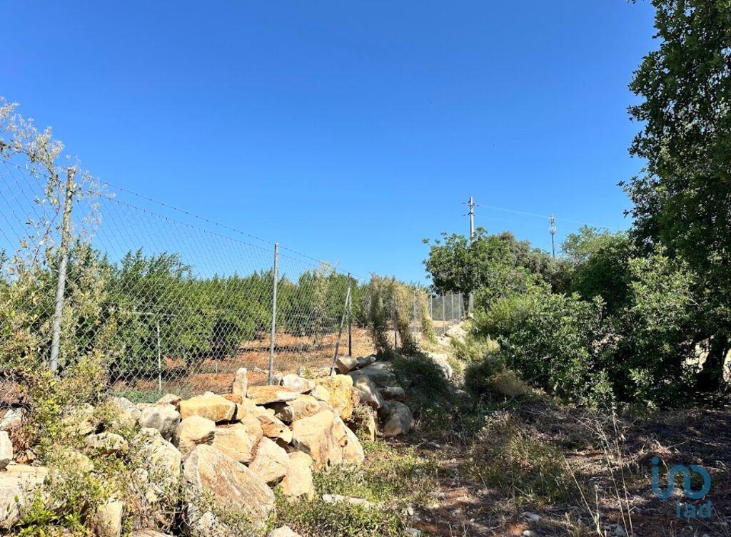 Plot / Land in Tavira, Eastern Algarve