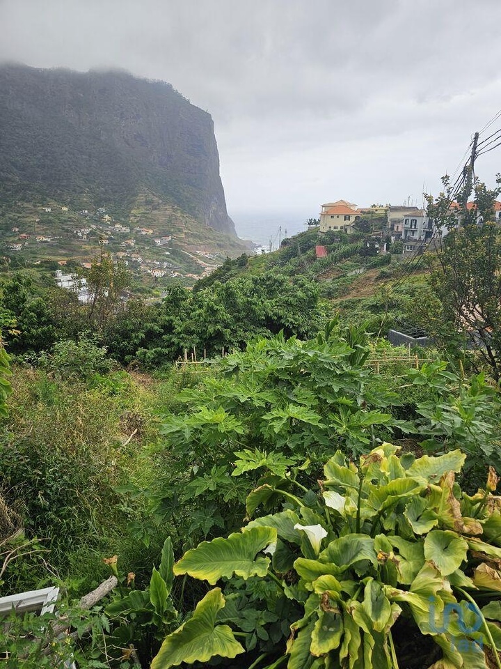 Perceel / Land in Machico, Madeira