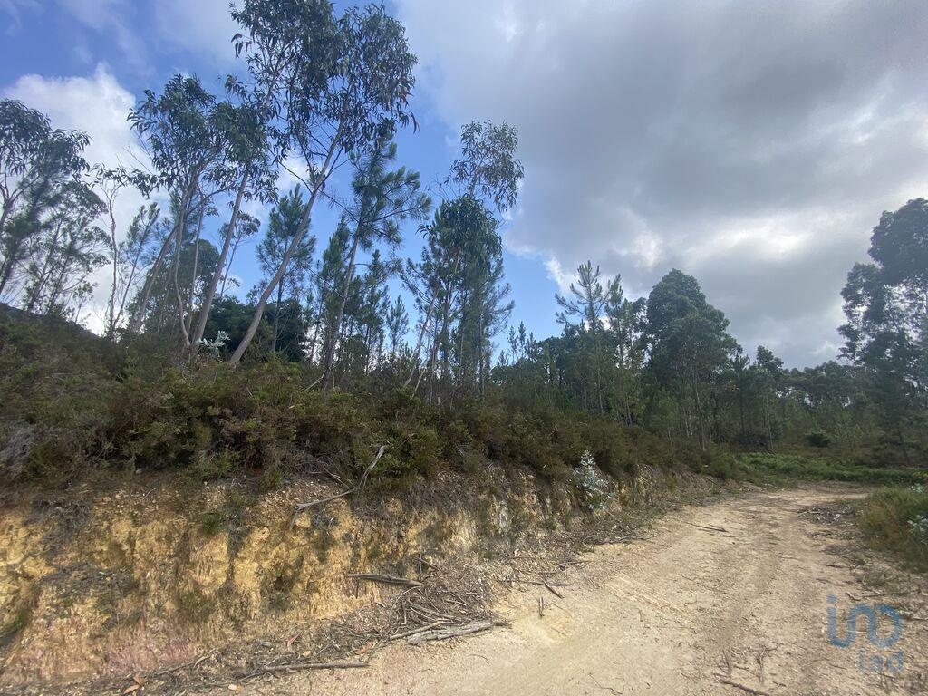 Plot / Land in Vila Nova de Cerveira, Viana do Castelo