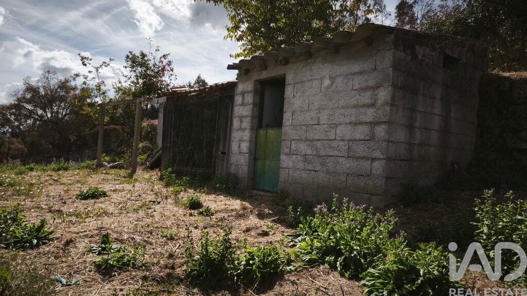 Plot / Land in Oliveira do Hospital, Coimbra