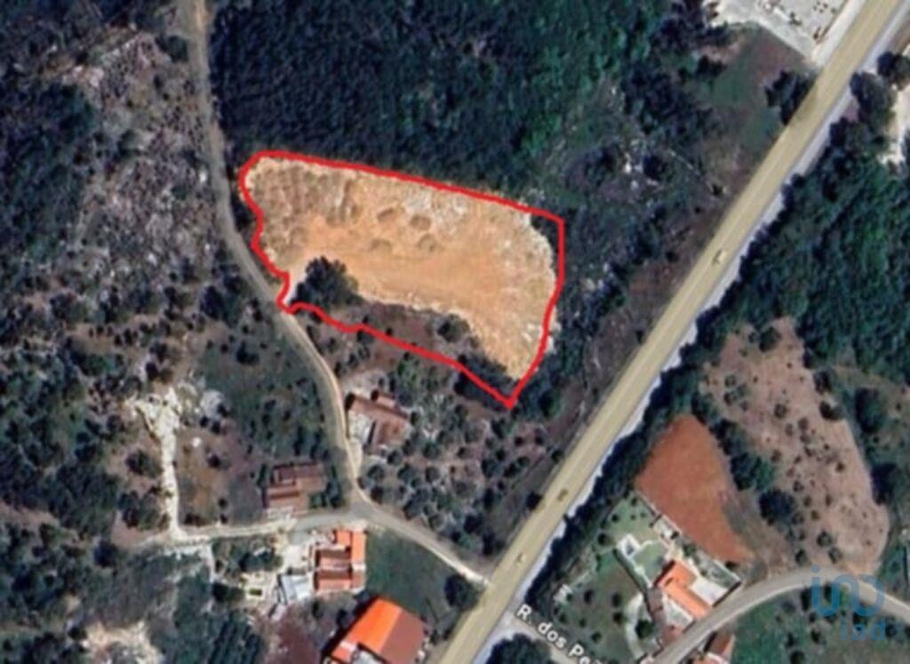 Plot / Land in Alcobaça, Leiria