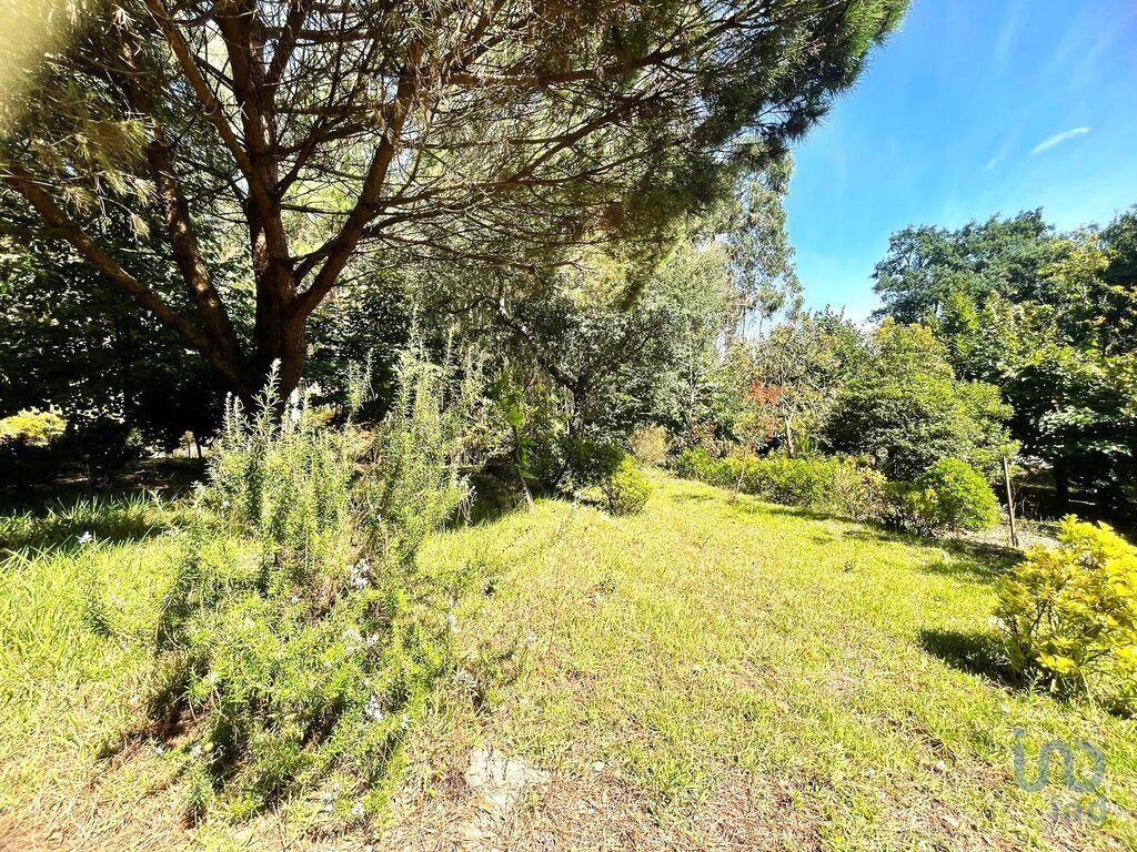 Plot / Land in Barcelos, Braga