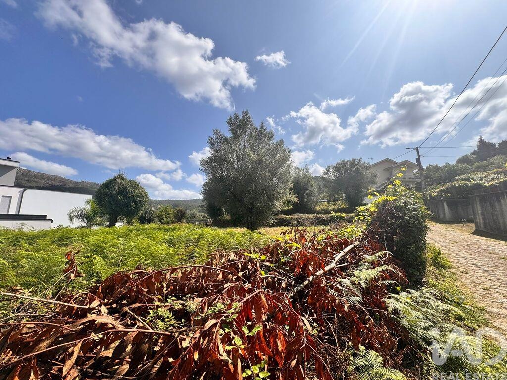 Plot / Land in Viana do Castelo