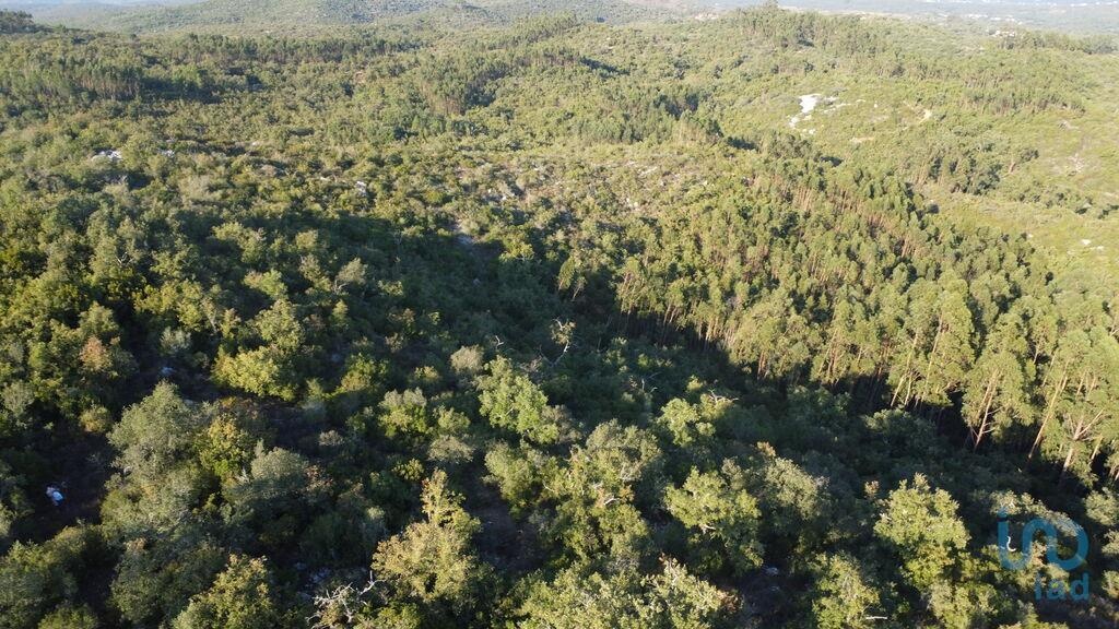 Plot / Land in Ferreira do Zêzere, Santarém