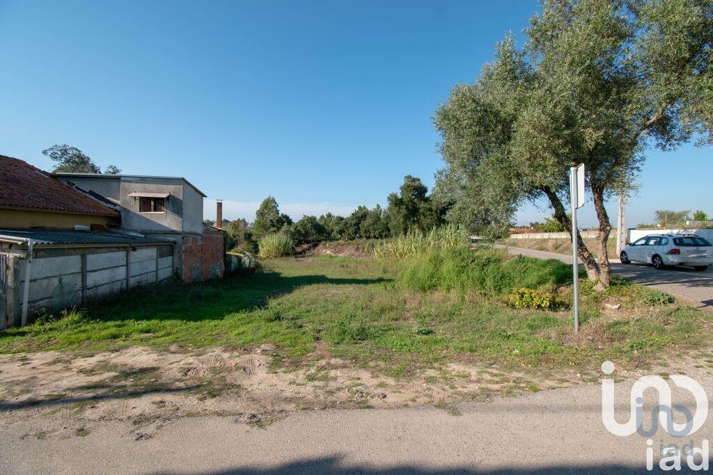 Plot / Land in Leiria