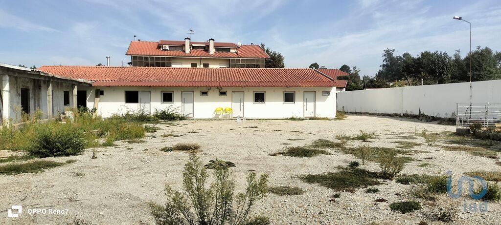 Commercial / Business in Paredes, Porto