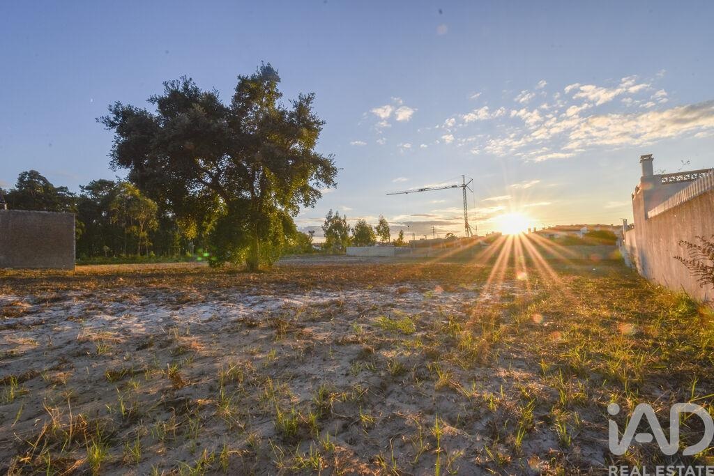 Plot / Land in Marinha Grande, Leiria