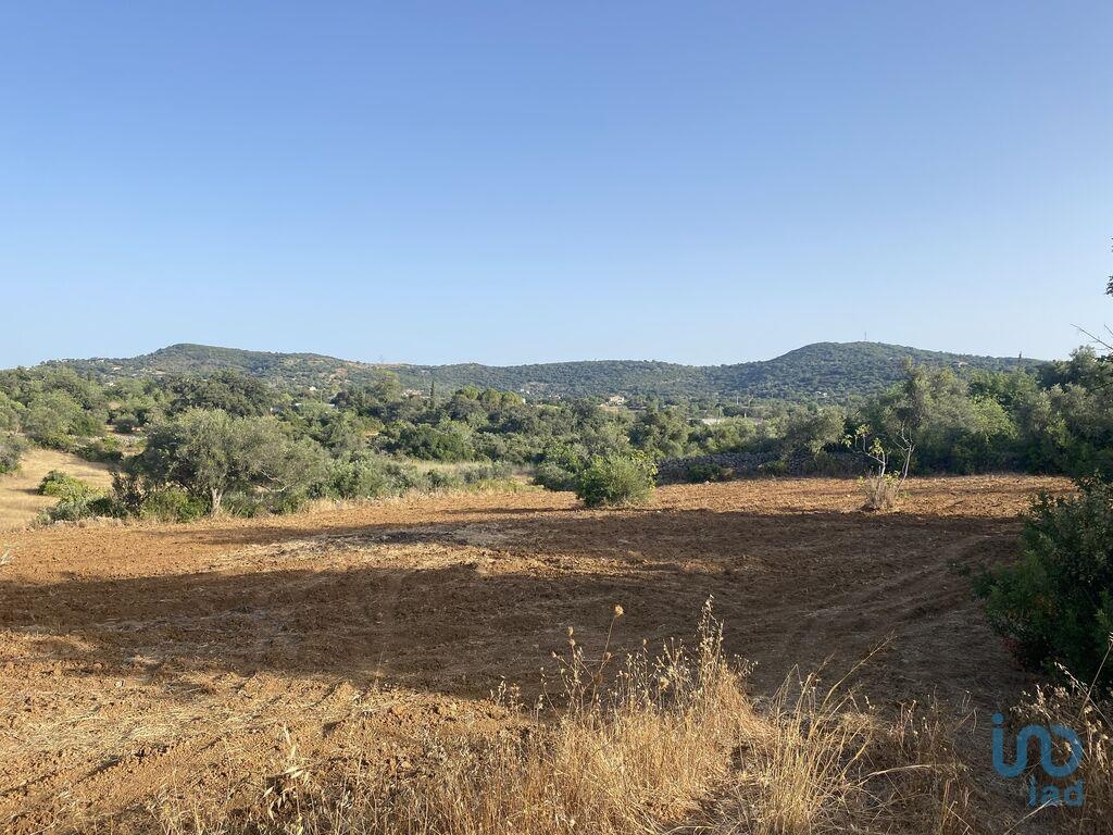 Plot / Land in Faro, Central Algarve