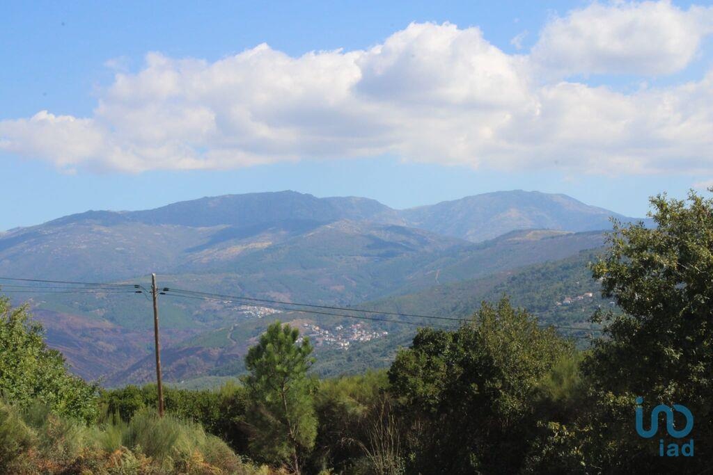 Perceel / Land in Oliveira do Hospital, Coimbra