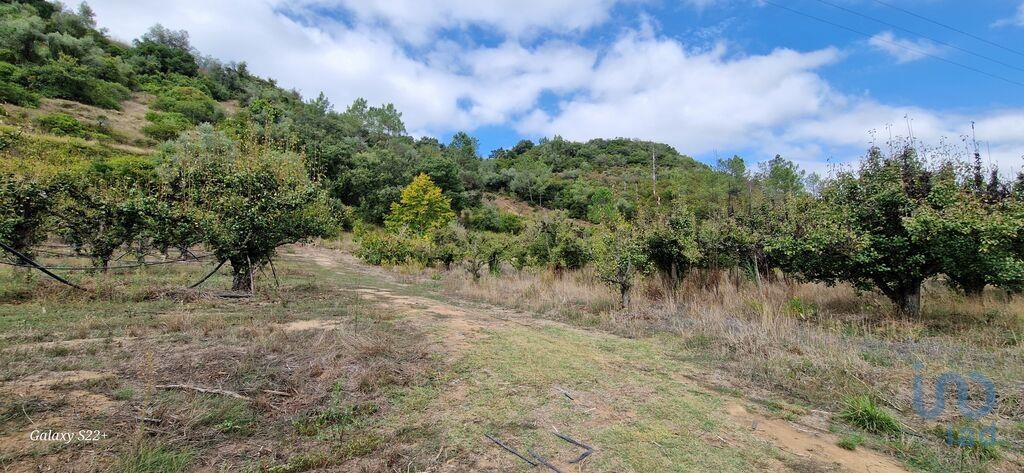 Plot / Land in Mafra, Lisboa