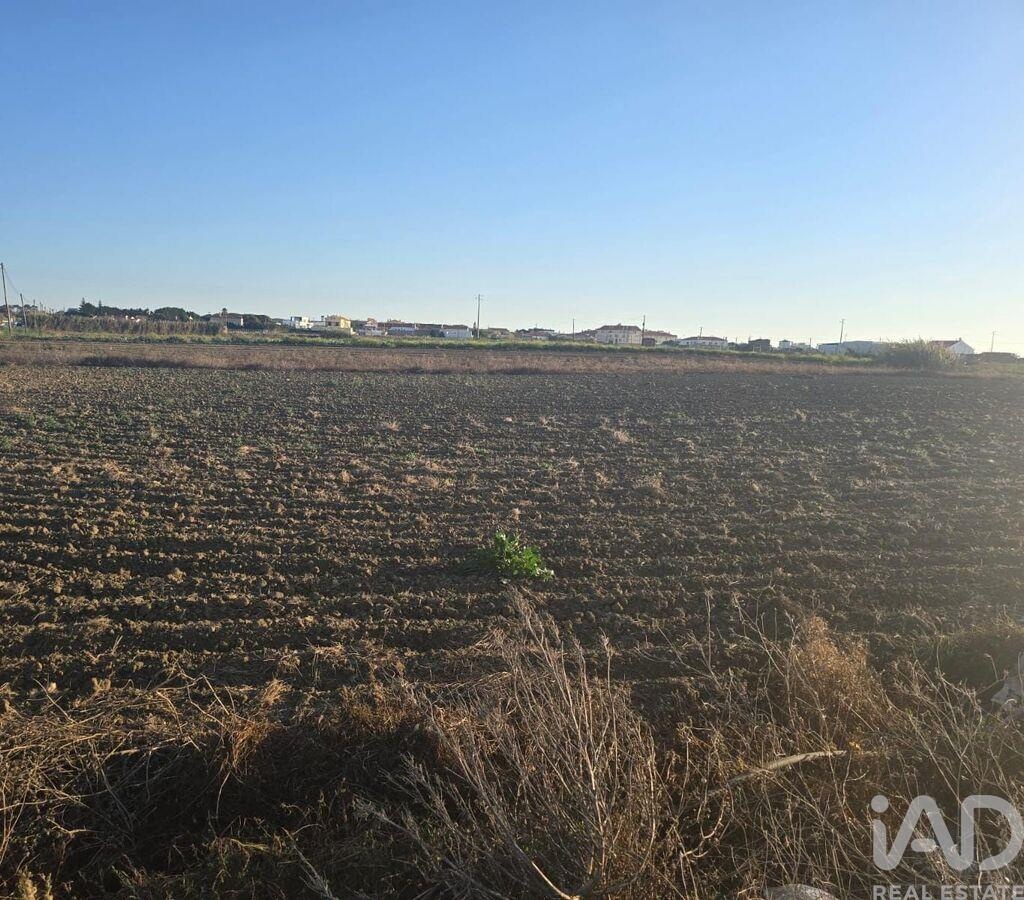 Plot / Land in Peniche, Leiria