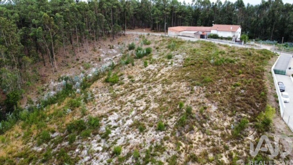 Plot / Land in Leiria