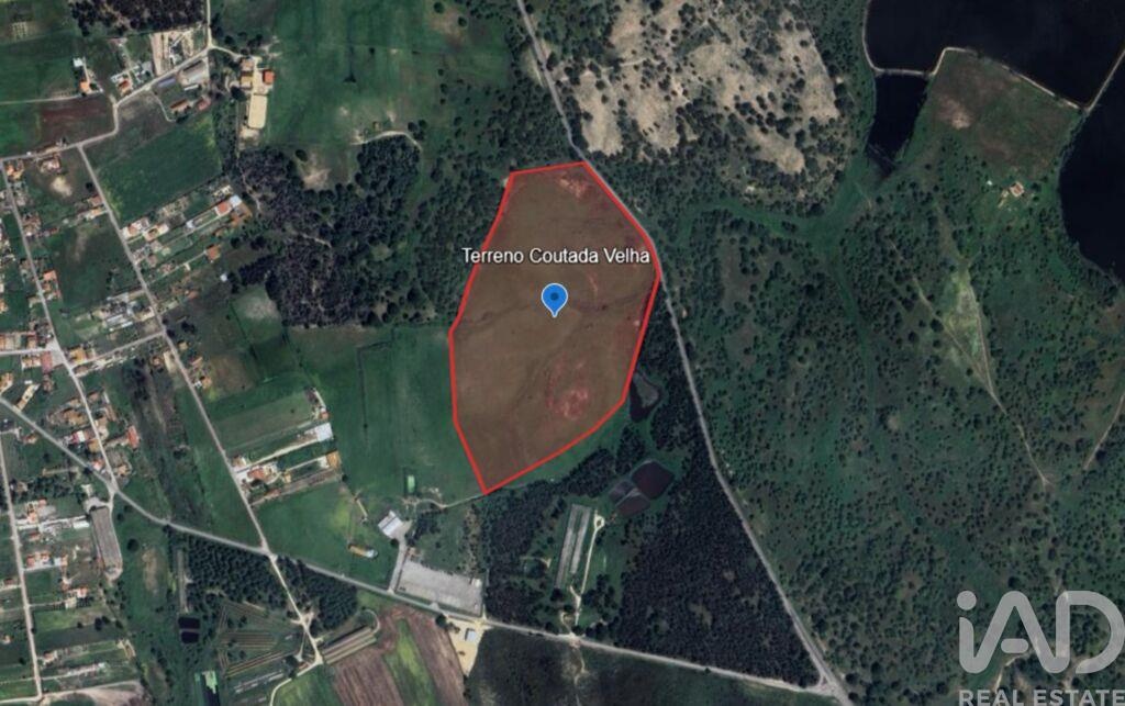 Plot / Land in Benavente, Santarém