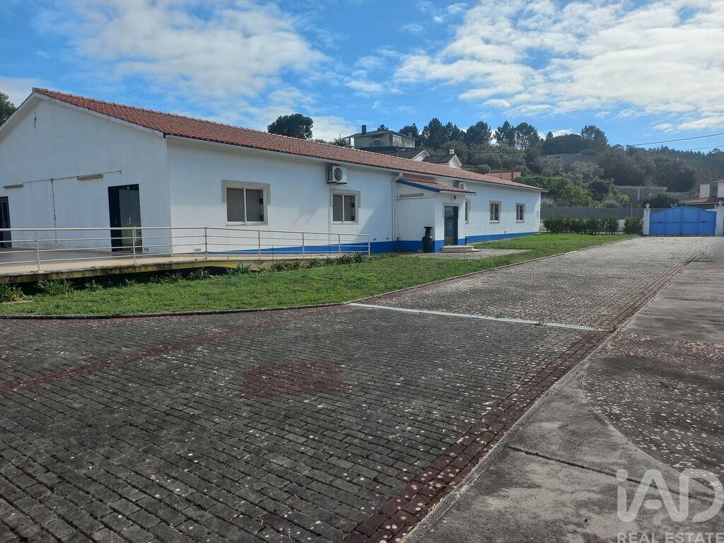 Commercial / Business in Leiria