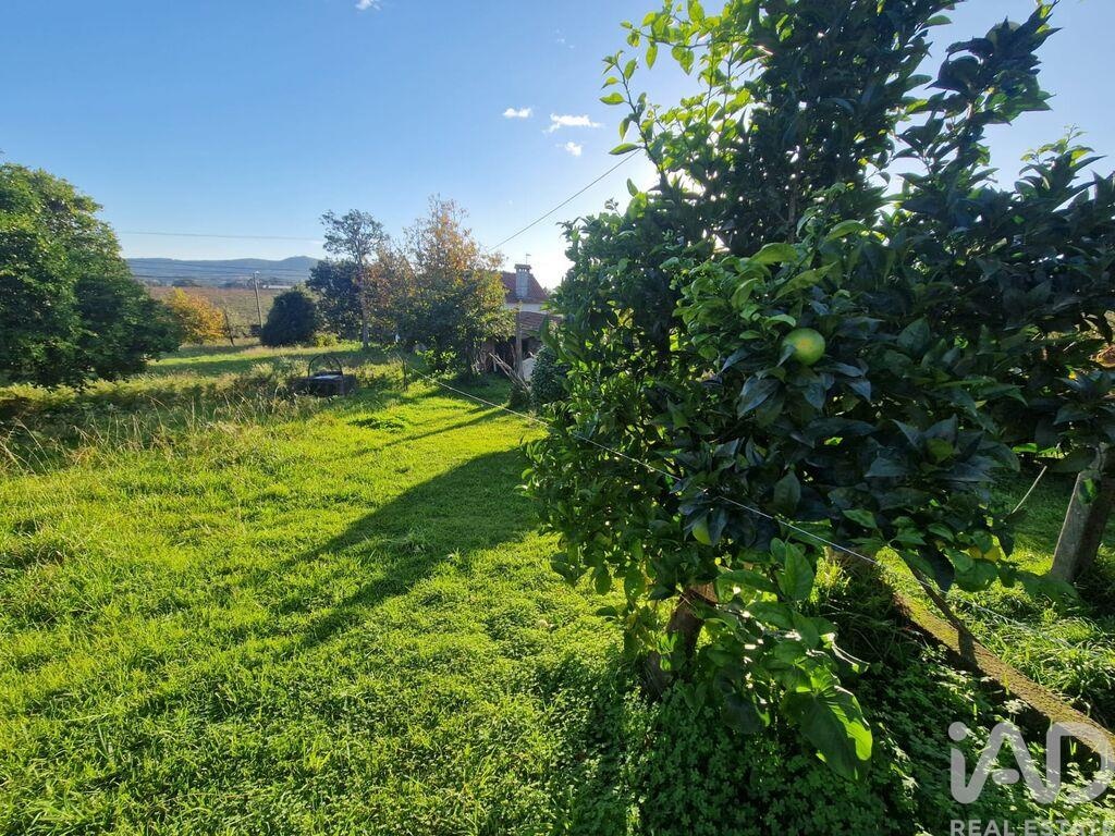 Perceel / Land in Viana do Castelo