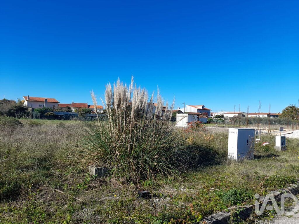Plot / Land in Cantanhede, Coimbra