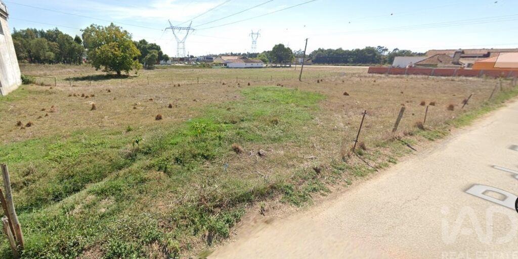 Commercial / Business in Alcobaça, Leiria