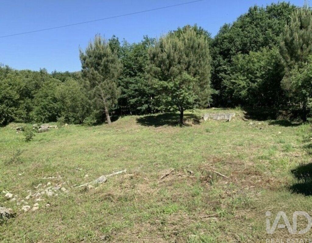 Plot / Land in Vila Nova de Cerveira, Viana do Castelo