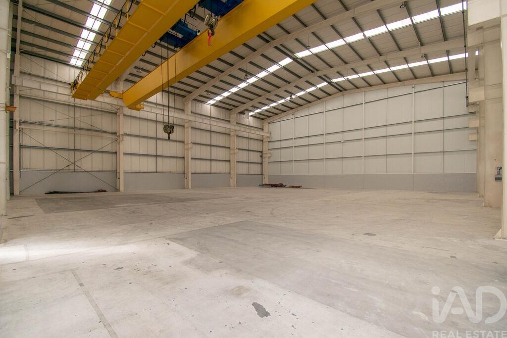 Commercial / Business in Marinha Grande, Leiria