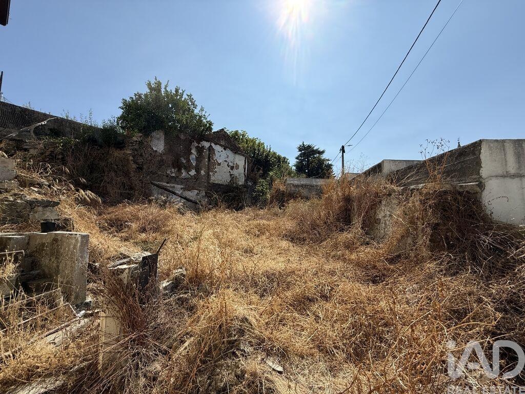 Plot / Land in Peso da Régua, Vila Real